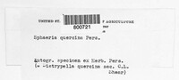 Diatrypella quercina image